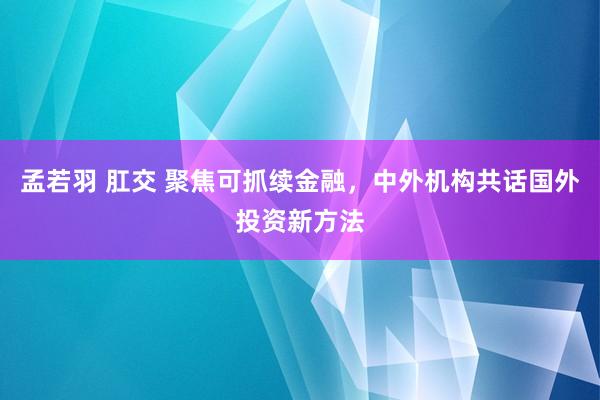 孟若羽 肛交 聚焦可抓续金融，中外机构共话国外投资新方法