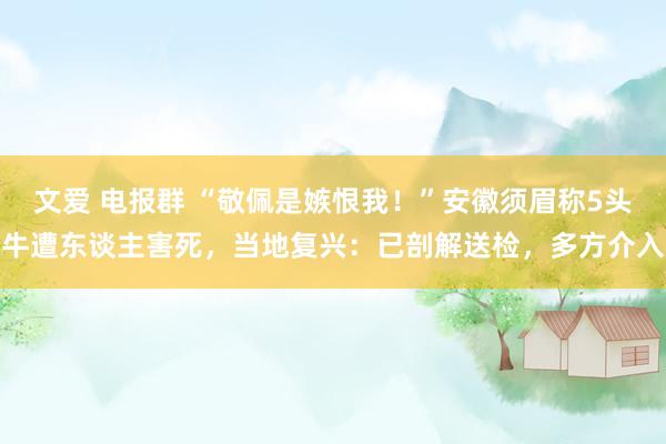 文爱 电报群 “敬佩是嫉恨我！”安徽须眉称5头牛遭东谈主害死，当地复兴：已剖解送检，多方介入