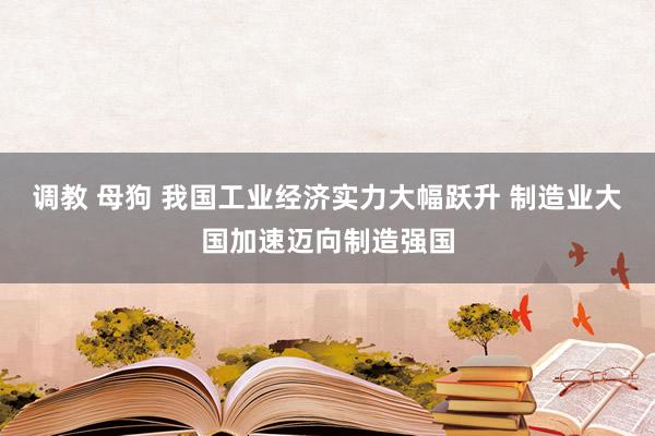 调教 母狗 我国工业经济实力大幅跃升 制造业大国加速迈向制造强国