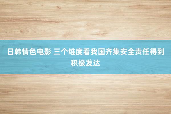 日韩情色电影 三个维度看我国齐集安全责任得到积极发达