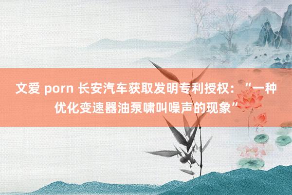 文爱 porn 长安汽车获取发明专利授权：“一种优化变速器油泵啸叫噪声的现象”