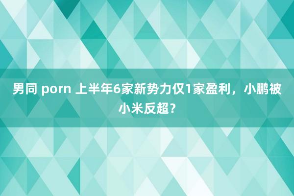 男同 porn 上半年6家新势力仅1家盈利，小鹏被小米反超？