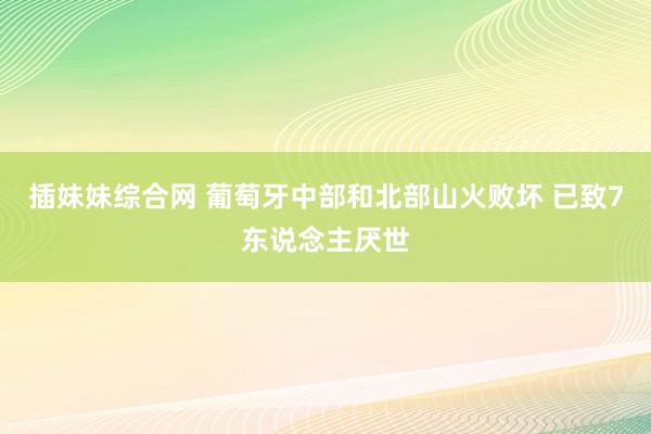 插妹妹综合网 葡萄牙中部和北部山火败坏 已致7东说念主厌世