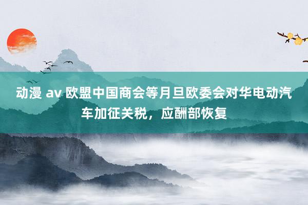 动漫 av 欧盟中国商会等月旦欧委会对华电动汽车加征关税，应酬部恢复