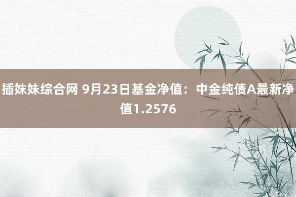 插妹妹综合网 9月23日基金净值：中金纯债A最新净值1.2576