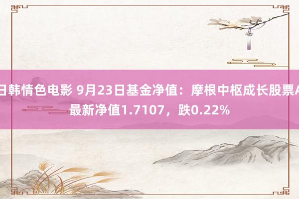 日韩情色电影 9月23日基金净值：摩根中枢成长股票A最新净值1.7107，跌0.22%