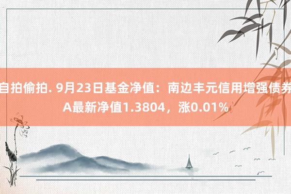 自拍偷拍. 9月23日基金净值：南边丰元信用增强债券A最新净值1.3804，涨0.01%