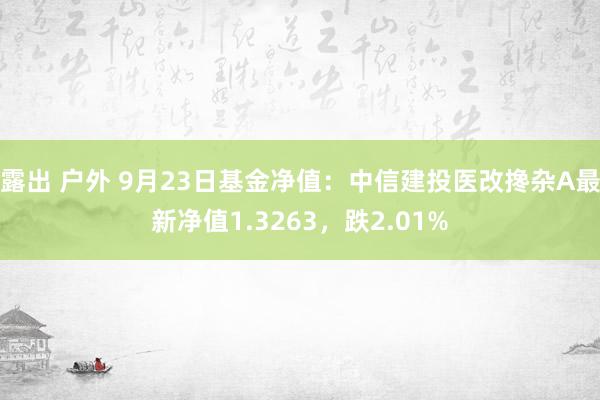 露出 户外 9月23日基金净值：中信建投医改搀杂A最新净值1.3263，跌2.01%