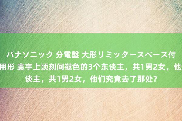 パナソニック 分電盤 大形リミッタースペース付 露出・半埋込両用形 寰宇上顷刻间褪色的3个东谈主，共1男2女，他们究竟去了那处？