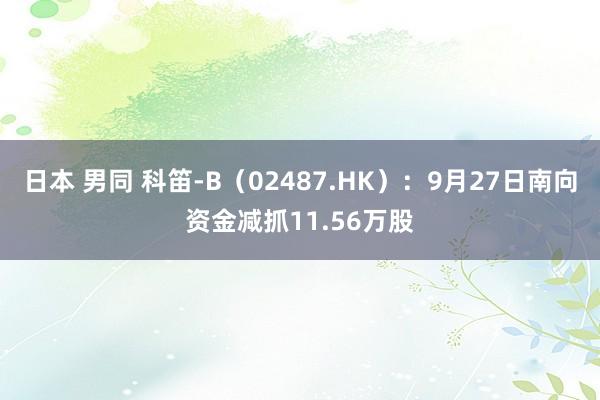 日本 男同 科笛-B（02487.HK）：9月27日南向资金减抓11.56万股