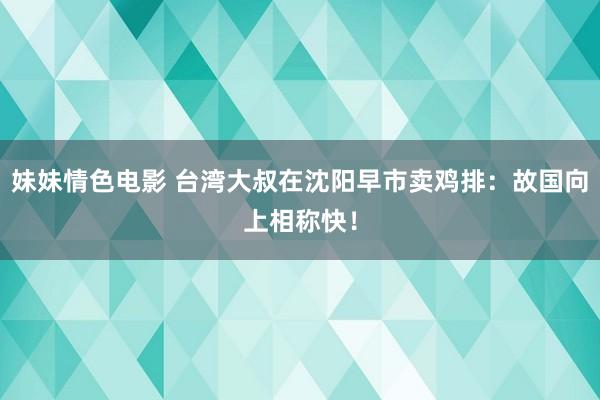 妹妹情色电影 台湾大叔在沈阳早市卖鸡排：故国向上相称快！