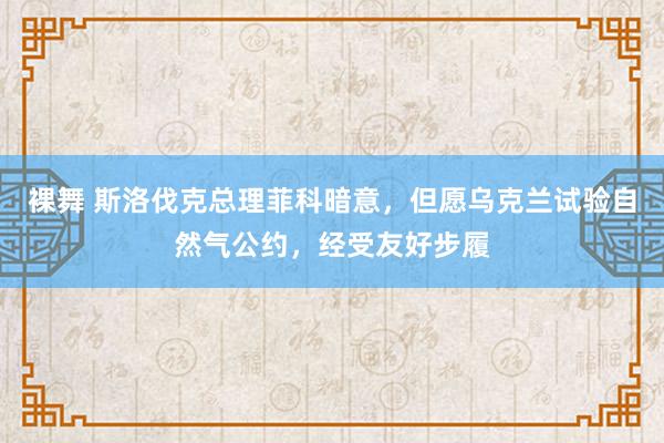 裸舞 斯洛伐克总理菲科暗意，但愿乌克兰试验自然气公约，经受友好步履