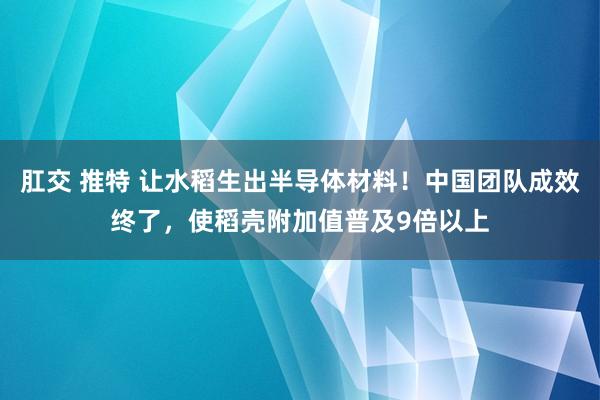 肛交 推特 让水稻生出半导体材料！中国团队成效终了，使稻壳附加值普及9倍以上