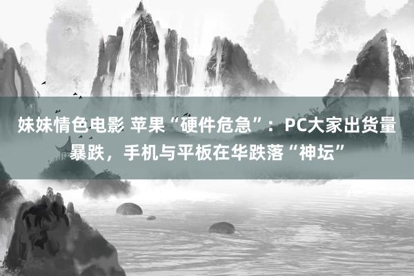 妹妹情色电影 苹果“硬件危急”：PC大家出货量暴跌，手机与平板在华跌落“神坛”