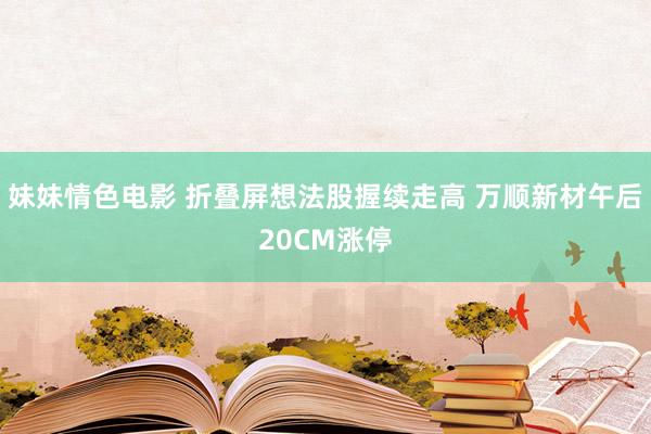 妹妹情色电影 折叠屏想法股握续走高 万顺新材午后20CM涨停