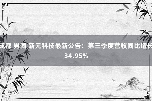 成都 男同 新元科技最新公告：第三季度营收同比增长34.95%