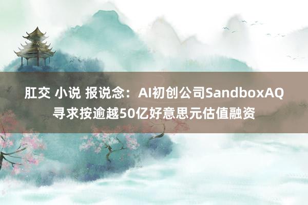 肛交 小说 报说念：AI初创公司SandboxAQ寻求按逾越50亿好意思元估值融资