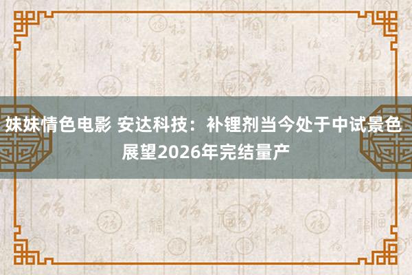 妹妹情色电影 安达科技：补锂剂当今处于中试景色 展望2026年完结量产