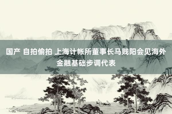 国产 自拍偷拍 上海计帐所董事长马贱阳会见海外金融基础步调代表