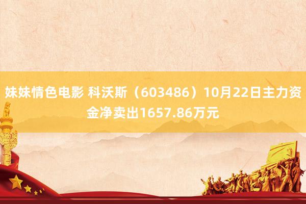 妹妹情色电影 科沃斯（603486）10月22日主力资金净卖出1657.86万元