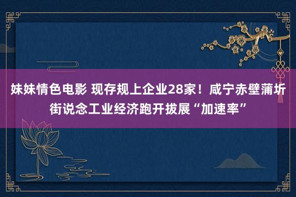 妹妹情色电影 现存规上企业28家！咸宁赤壁蒲圻街说念工业经济跑开拔展“加速率”