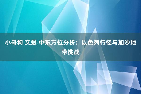 小母狗 文爱 中东方位分析：以色列行径与加沙地带挑战