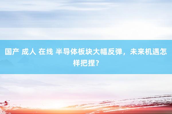 国产 成人 在线 半导体板块大幅反弹，未来机遇怎样把捏？