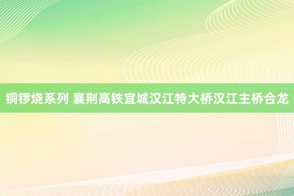 铜锣烧系列 襄荆高铁宜城汉江特大桥汉江主桥合龙