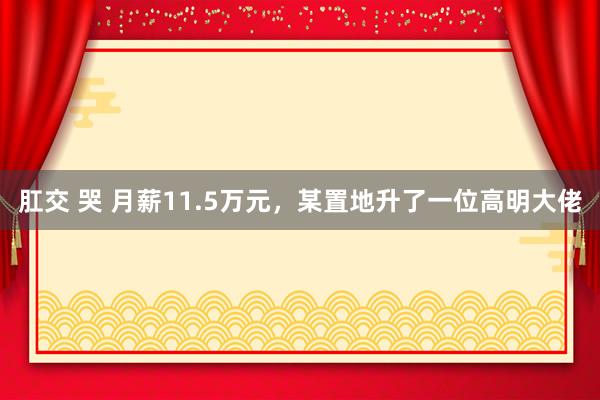 肛交 哭 月薪11.5万元，某置地升了一位高明大佬