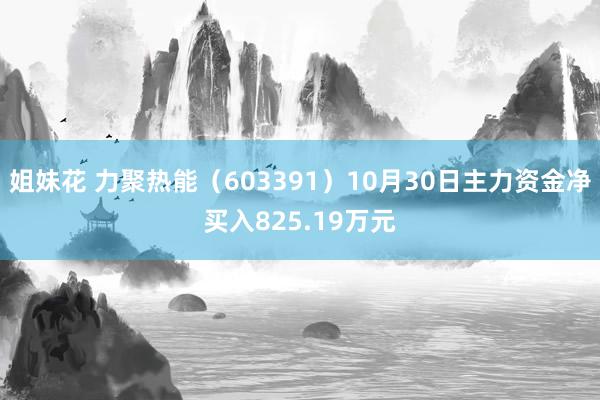 姐妹花 力聚热能（603391）10月30日主力资金净买入825.19万元