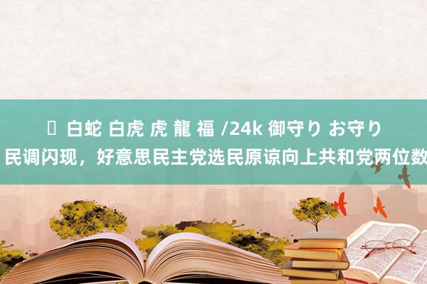 ✨白蛇 白虎 虎 龍 福 /24k 御守り お守り 民调闪现，好意思民主党选民原谅向上共和党两位数