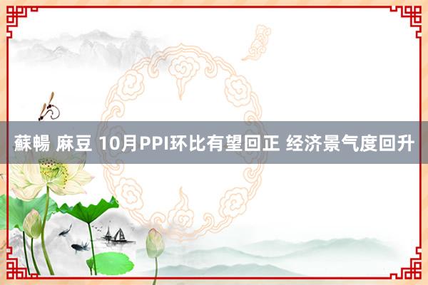 蘇暢 麻豆 10月PPI环比有望回正 经济景气度回升