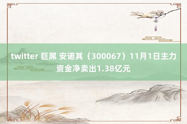 twitter 巨屌 安诺其（300067）11月1日主力资金净卖出1.38亿元