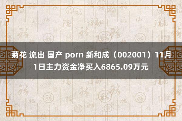 菊花 流出 国产 porn 新和成（002001）11月1日主力资金净买入6865.09万元