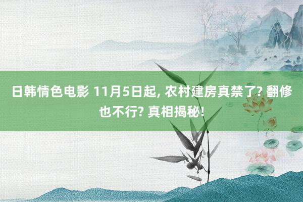 日韩情色电影 11月5日起， 农村建房真禁了? 翻修也不行? 真相揭秘!