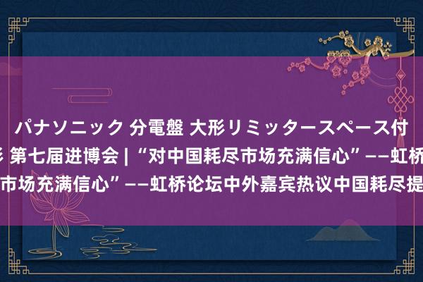 パナソニック 分電盤 大形リミッタースペース付 露出・半埋込両用形 第七届进博会 | “对中国耗尽市场充满信心”——虹桥论坛中外嘉宾热议中国耗尽提质升级