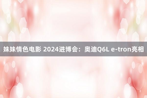 妹妹情色电影 2024进博会：奥迪Q6L e-tron亮相