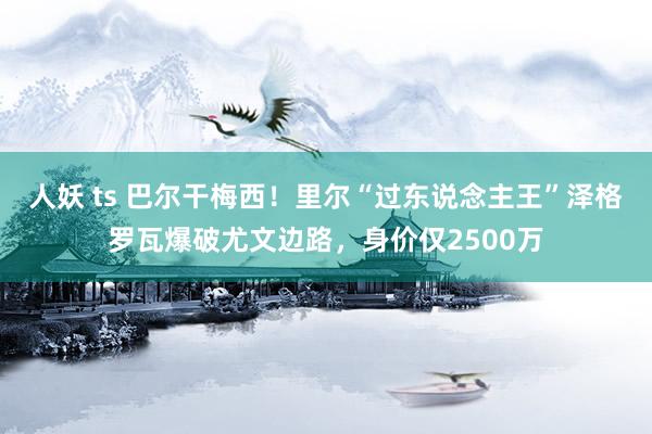 人妖 ts 巴尔干梅西！里尔“过东说念主王”泽格罗瓦爆破尤文边路，身价仅2500万