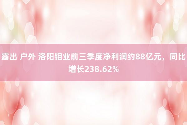 露出 户外 洛阳钼业前三季度净利润约88亿元，同比增长238.62%