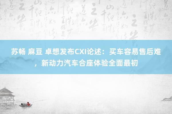 苏畅 麻豆 卓想发布CXI论述：买车容易售后难，新动力汽车合座体验全面最初