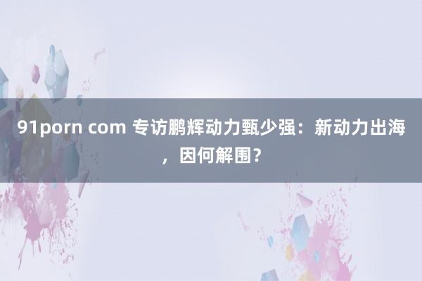 91porn com 专访鹏辉动力甄少强：新动力出海，因何解围？