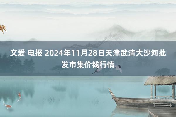 文爱 电报 2024年11月28日天津武清大沙河批发市集价钱行情