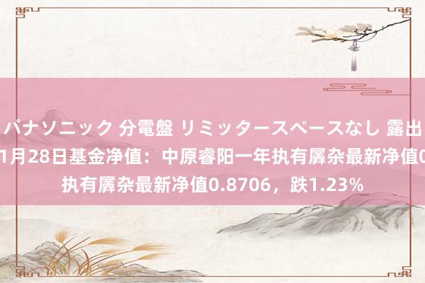 パナソニック 分電盤 リミッタースペースなし 露出・半埋込両用形 11月28日基金净值：中原睿阳一年执有羼杂最新净值0.8706，跌1.23%