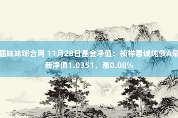 插妹妹综合网 11月28日基金净值：祯祥惠诚纯债A最新净值1.0351，涨0.08%