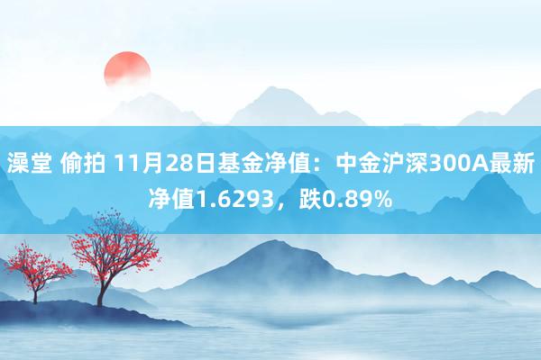 澡堂 偷拍 11月28日基金净值：中金沪深300A最新净值1.6293，跌0.89%