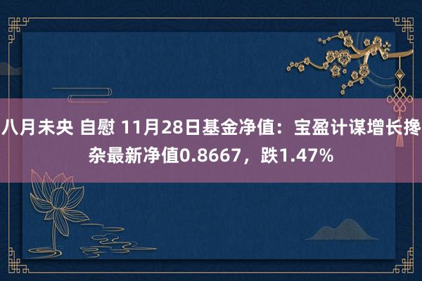 八月未央 自慰 11月28日基金净值：宝盈计谋增长搀杂最新净值0.8667，跌1.47%