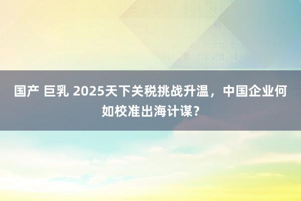 国产 巨乳 2025天下关税挑战升温，中国企业何如校准出海计谋？