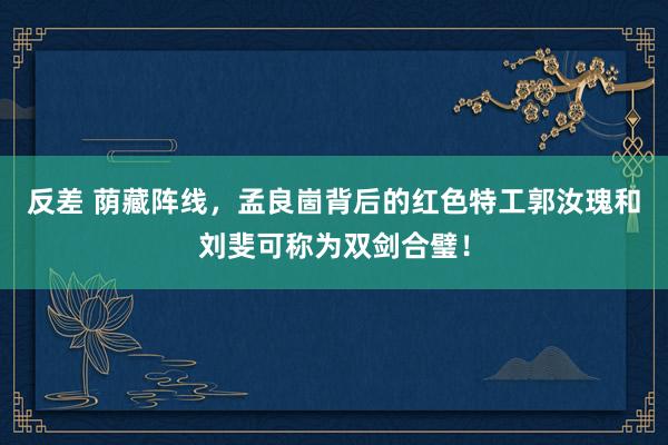 反差 荫藏阵线，孟良崮背后的红色特工郭汝瑰和刘斐可称为双剑合璧！