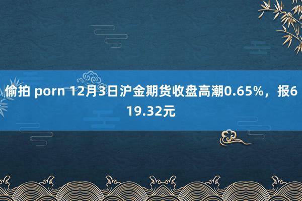 偷拍 porn 12月3日沪金期货收盘高潮0.65%，报619.32元