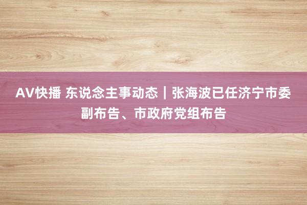 AV快播 东说念主事动态｜张海波已任济宁市委副布告、市政府党组布告